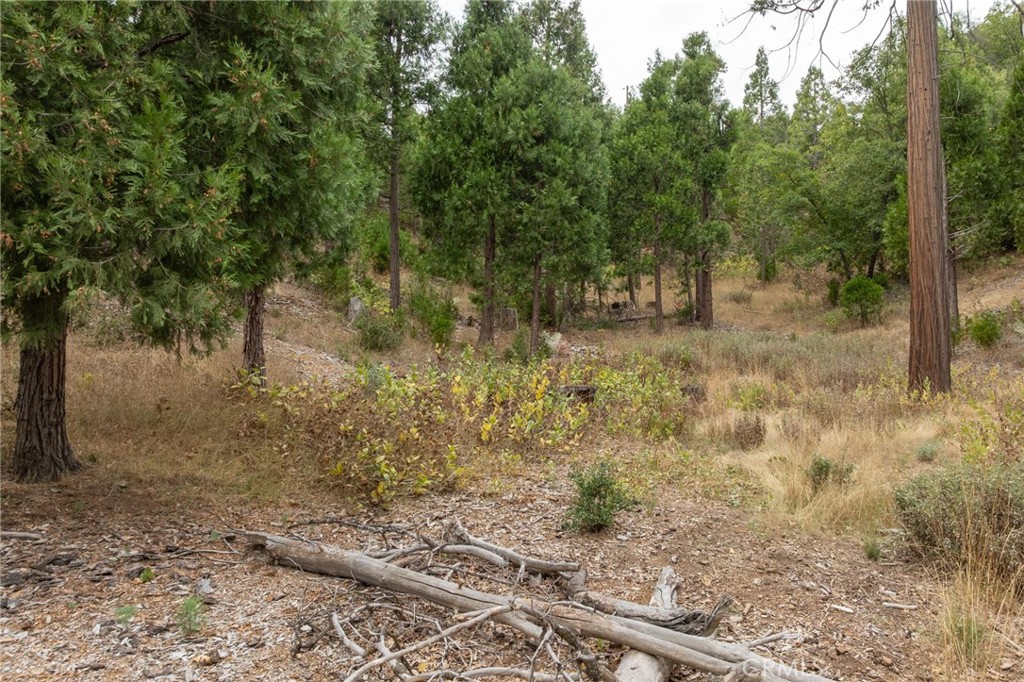 26 Timberview Rd, North Fork, CA 93643