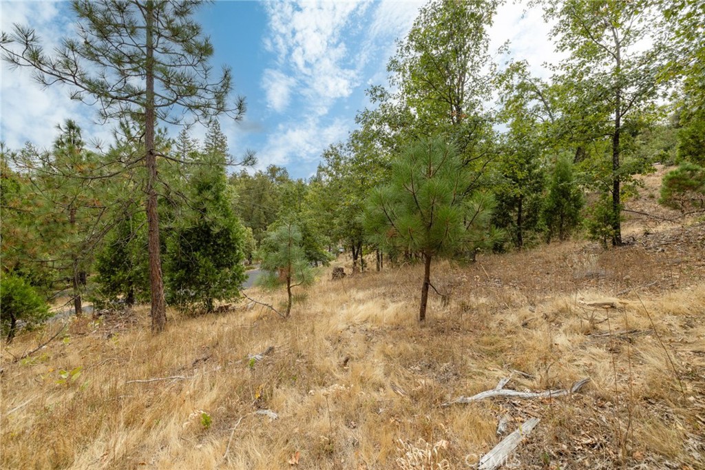 26 Timberview Rd, North Fork, CA 93643