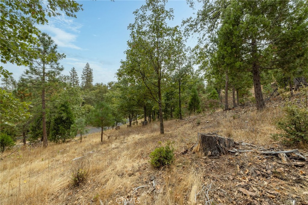 26 Timberview Rd, North Fork, CA 93643
