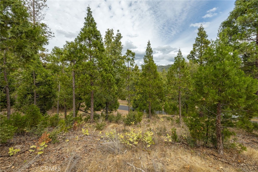 26 Timberview Rd, North Fork, CA 93643
