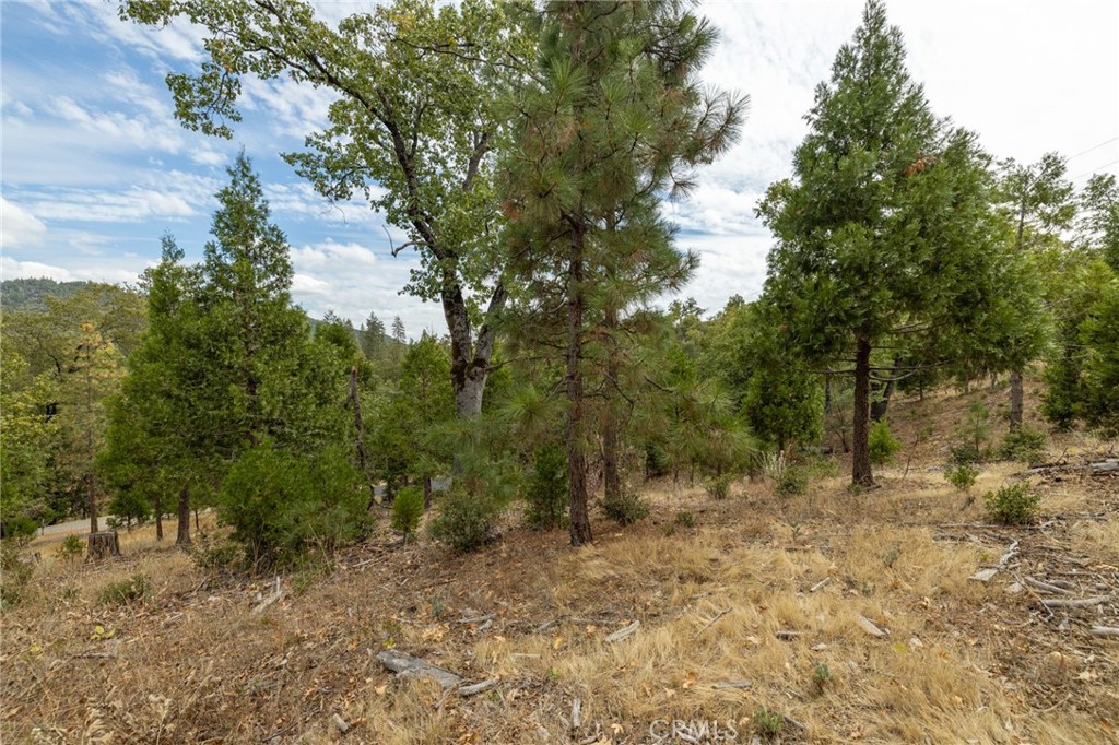 26 Timberview Rd, North Fork, CA 93643