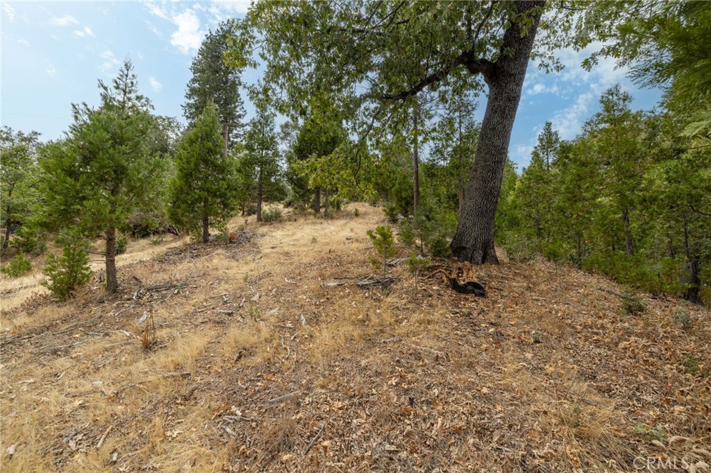 26 Timberview Rd, North Fork, CA 93643