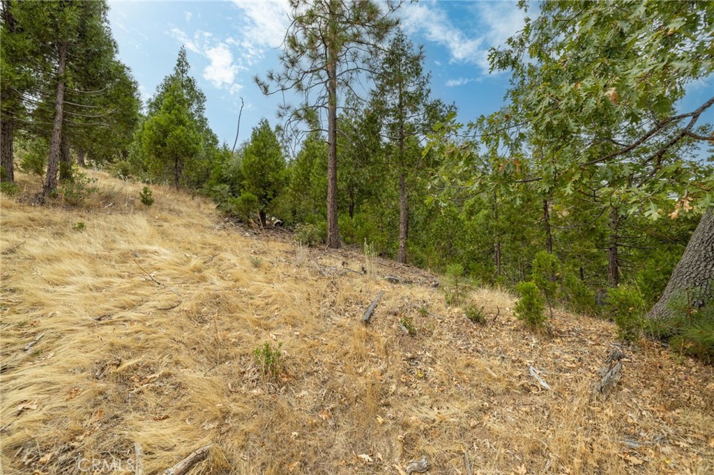 26 Timberview Rd, North Fork, CA 93643