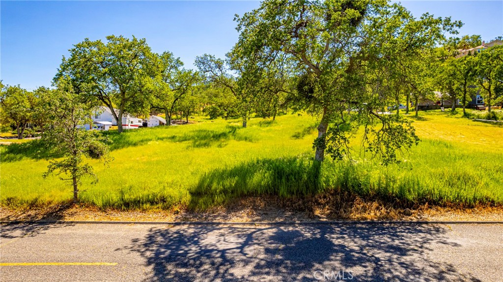 1 Horseshoe DR, Coarsegold, CA 93614
