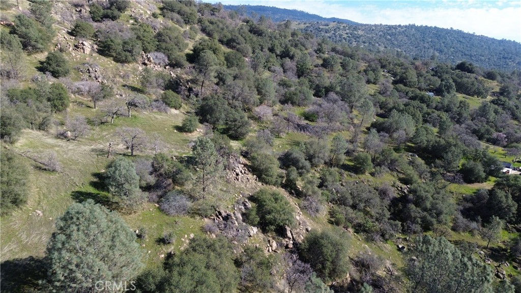 25 Buckaroo Ln, Auberry, CA 93602