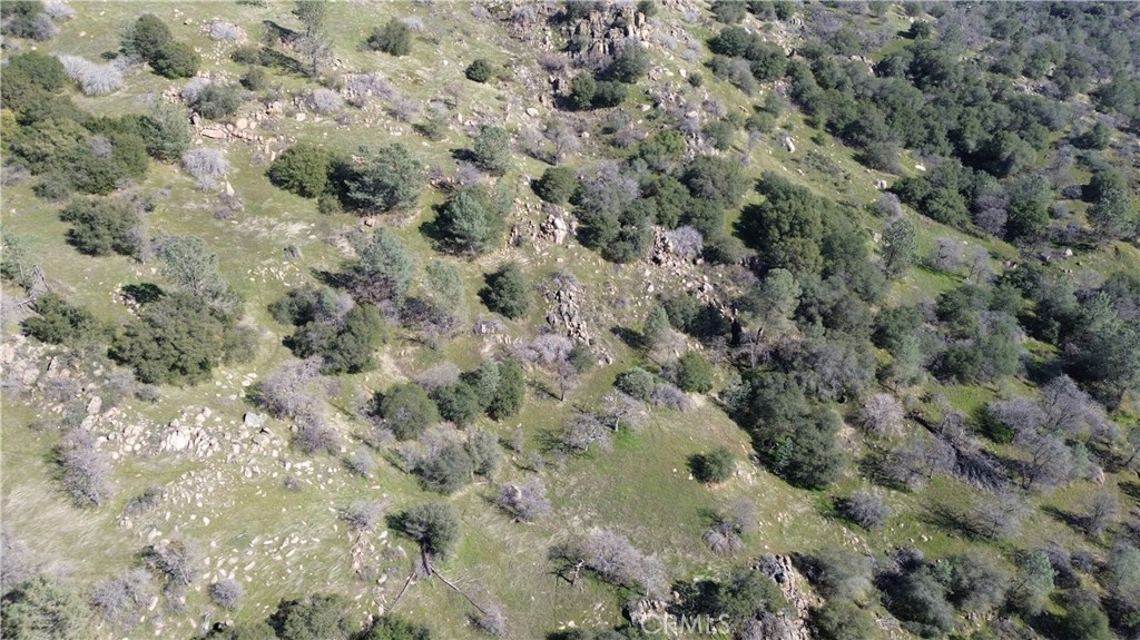 25 Buckaroo Ln, Auberry, CA 93602