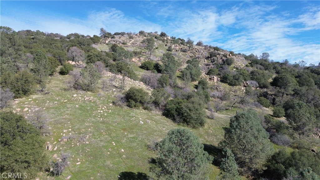 25 Buckaroo Ln, Auberry, CA 93602