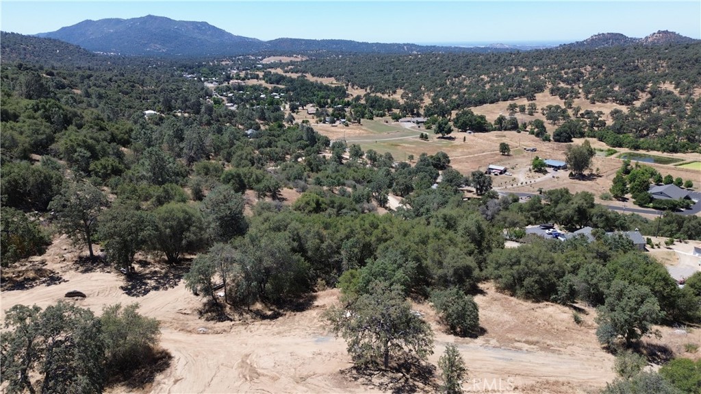 25 Buckaroo Ln, Auberry, CA 93602