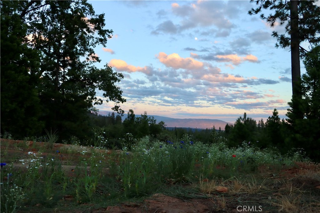53235 Finegold Creek Ct, North Fork, CA 93643