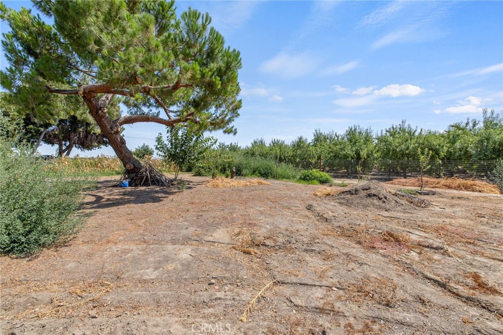 16565 Lacey Blvd, Lemoore, CA 93245