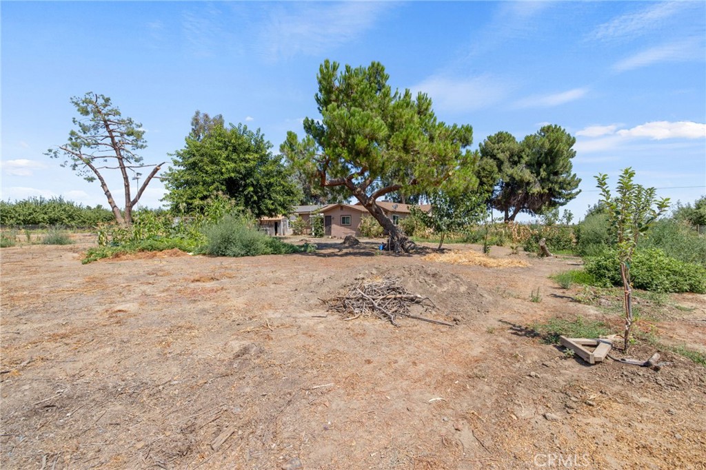 16565 Lacey Blvd, Lemoore, CA 93245
