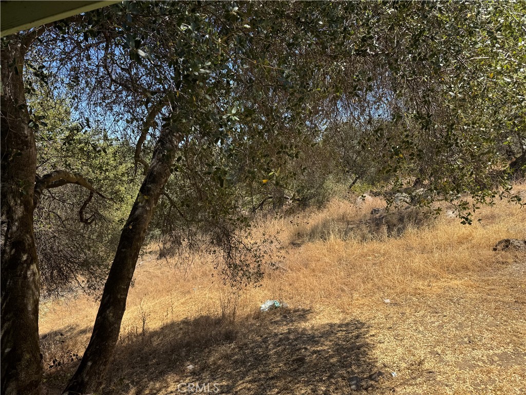 31360 Road 416, Coarsegold, CA 93614
