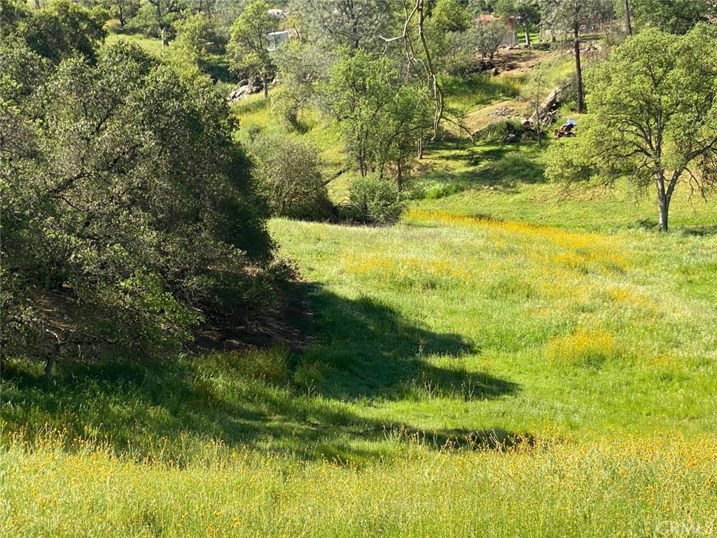 17 Titan, Coarsegold, CA 93614