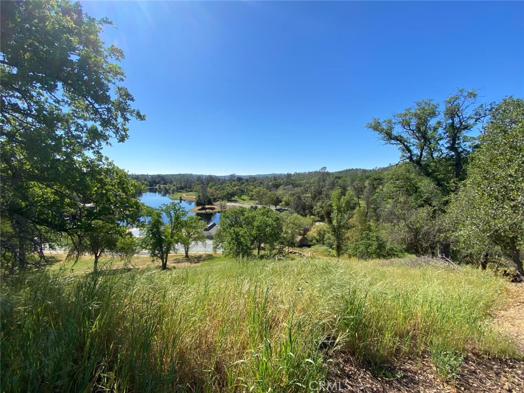 17 Titan, Coarsegold, CA 93614