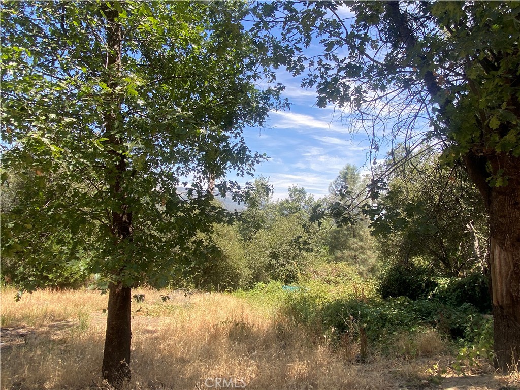 35995 Sierra Linda, Wishon, CA 93669