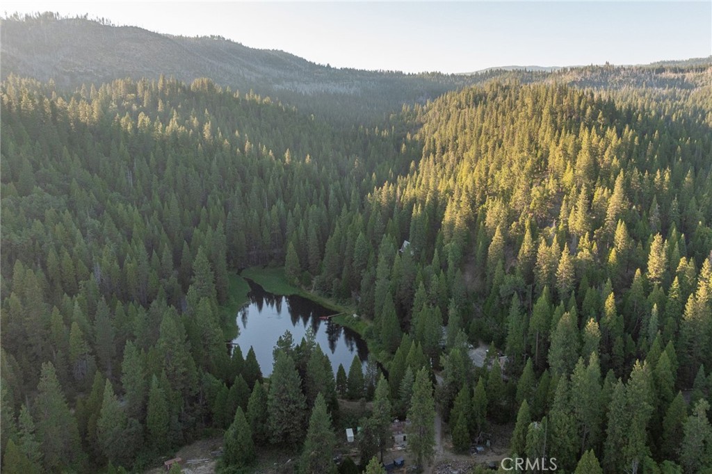 49988 Locust, Oakhurst, CA 93644
