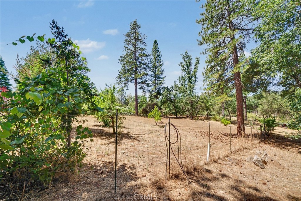 5627 Buckskin Rd, Mariposa, CA 95338