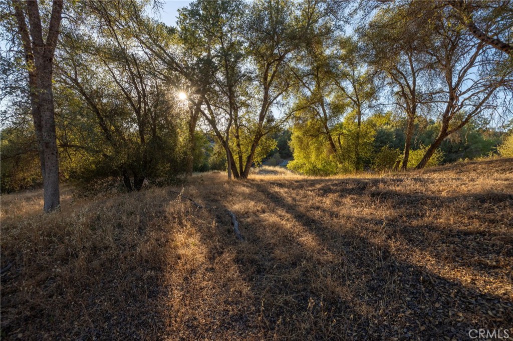 1 Junction Dr, Oakhurst, CA 93644