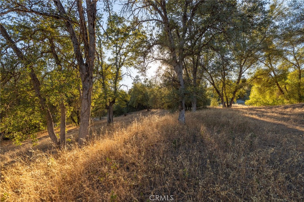 1 Junction Dr, Oakhurst, CA 93644