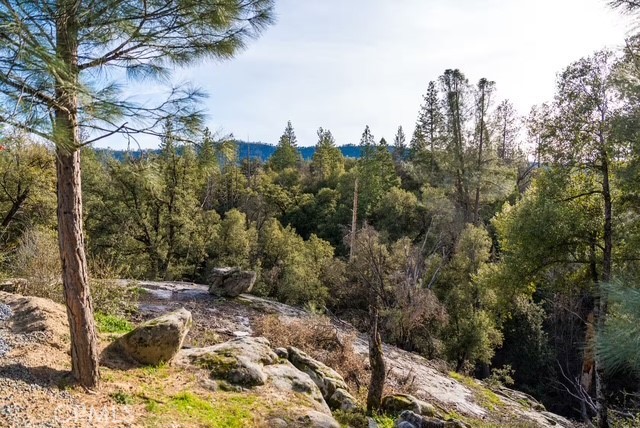 38614 Bon Veu, Oakhurst, CA 93644