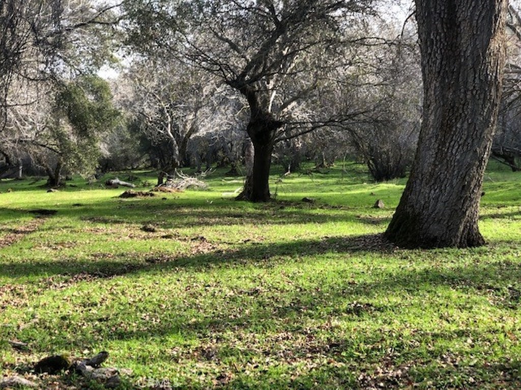 157 Acres Mountain View Peak Rd, O'Neals, CA 93645