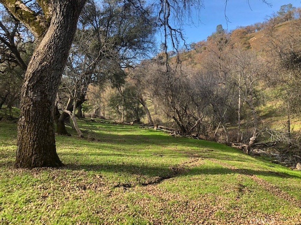 157 Acres Mountain View Peak Rd, O'Neals, CA 93645