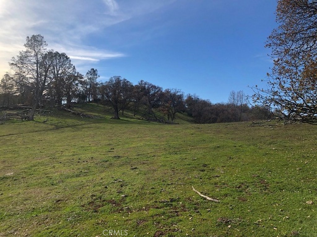 157 Acres Mountain View Peak Rd, O'Neals, CA 93645
