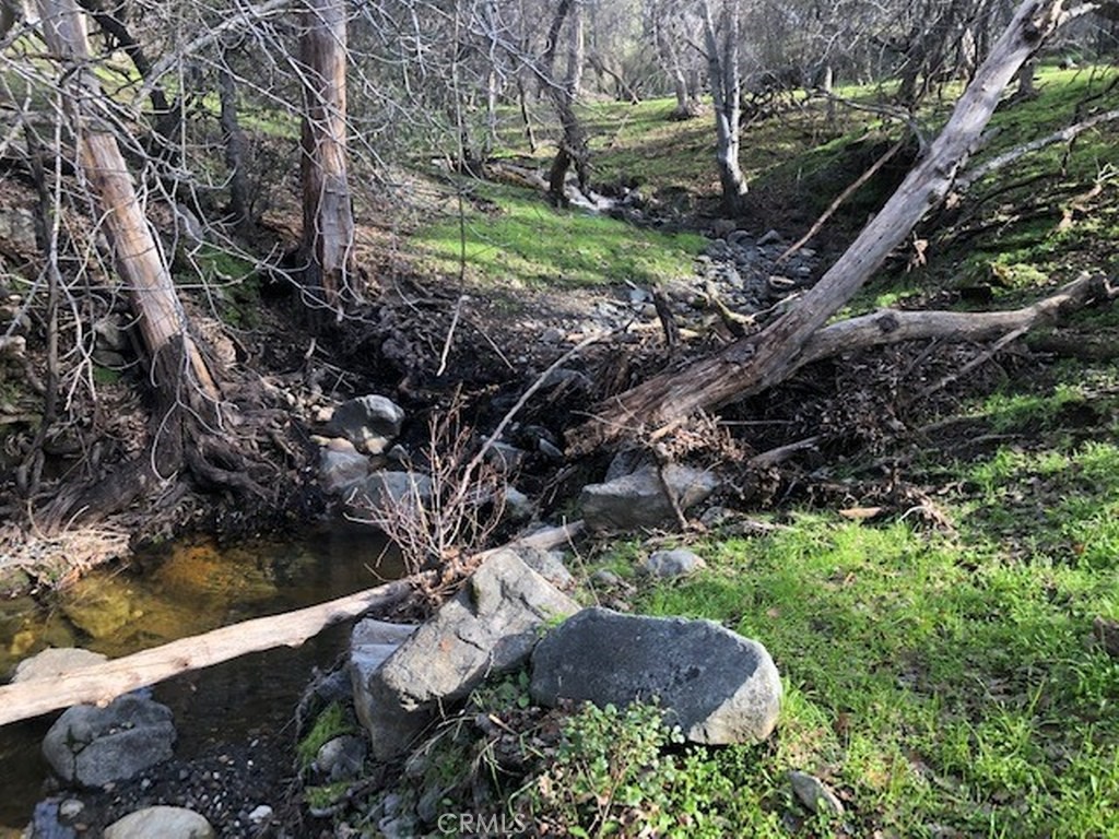 157 Acres Mountain View Peak Rd, O'Neals, CA 93645