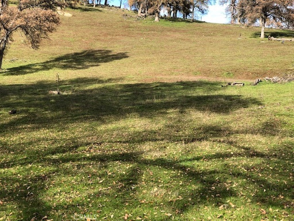 157 Acres Mountain View Peak Rd, O'Neals, CA 93645