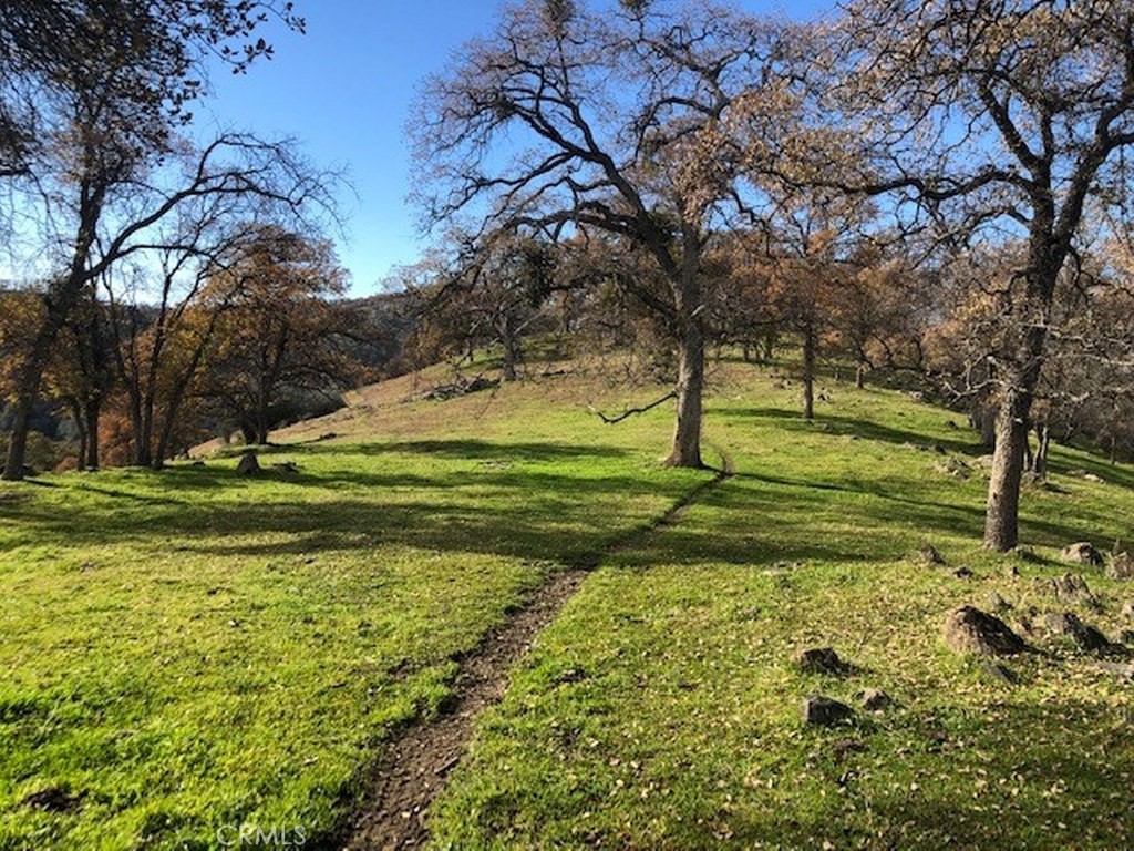 157 Acres Mountain View Peak Rd, O'Neals, CA 93645
