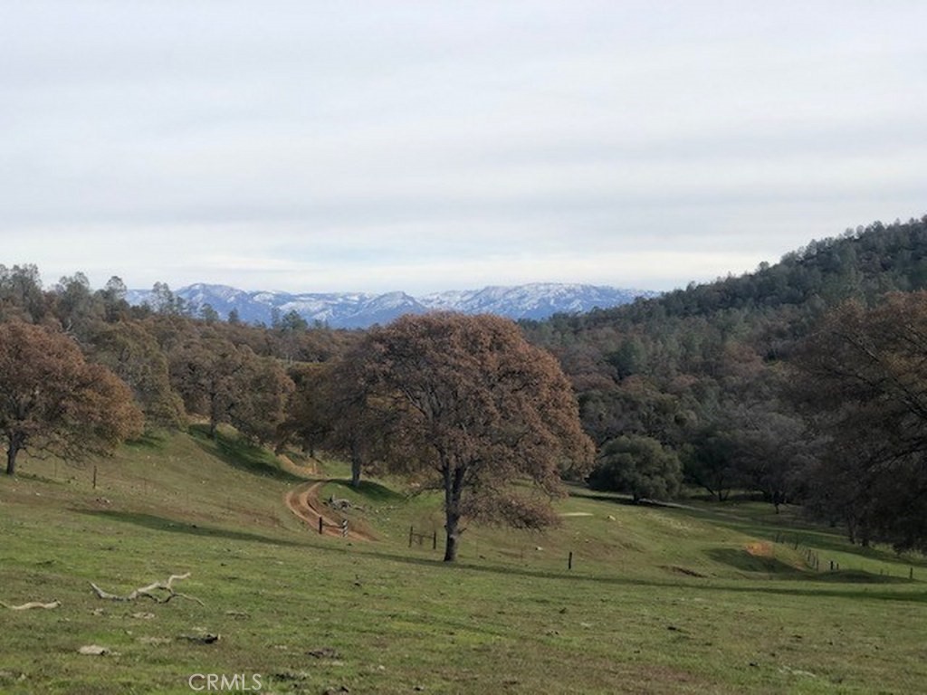 157 Acres Mountain View Peak Rd, O'Neals, CA 93645