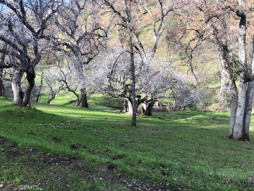157 Acres Mountain View Peak Rd, O'Neals, CA 93645