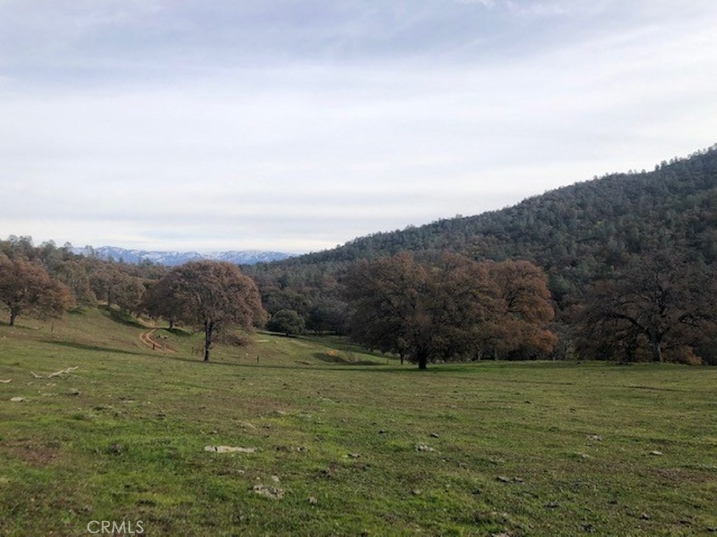 157 Acres Mountain View Peak Rd, O'Neals, CA 93645