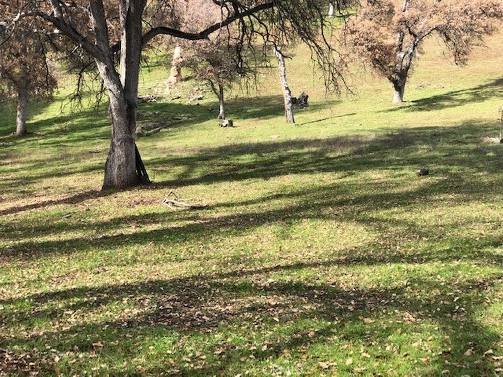 157 Acres Mountain View Peak Rd, O'Neals, CA 93645
