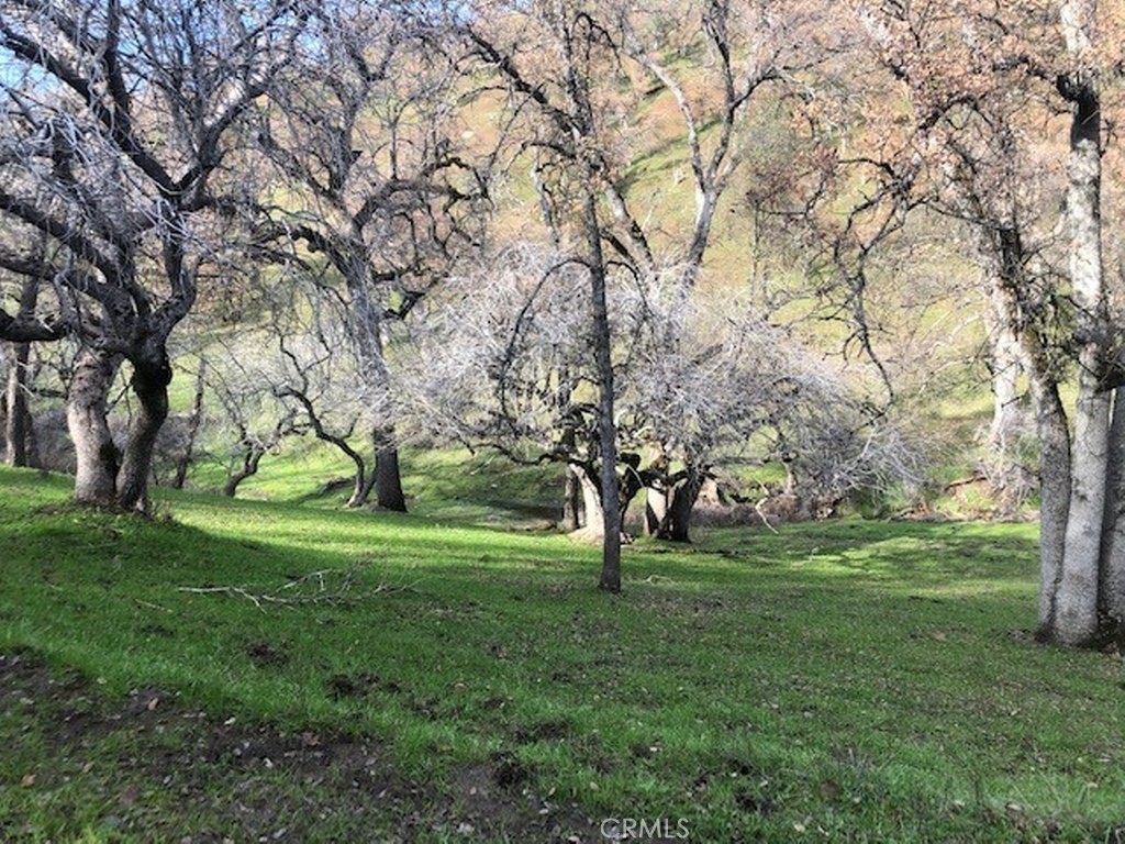 157 Acres Mountain View Peak Rd, O'Neals, CA 93645