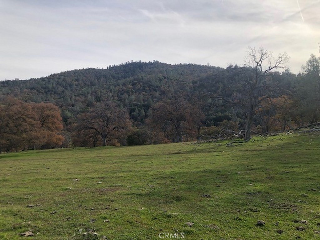 157 Acres Mountain View Peak Rd, O'Neals, CA 93645
