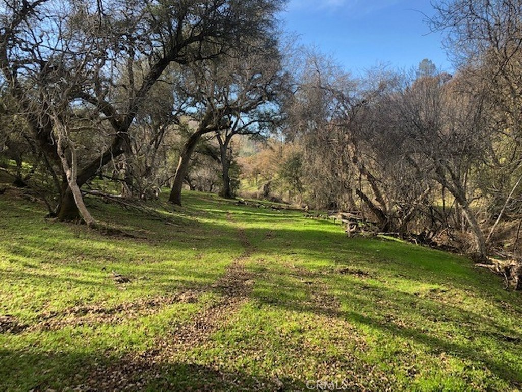 157 Acres Mountain View Peak Rd, O'Neals, CA 93645