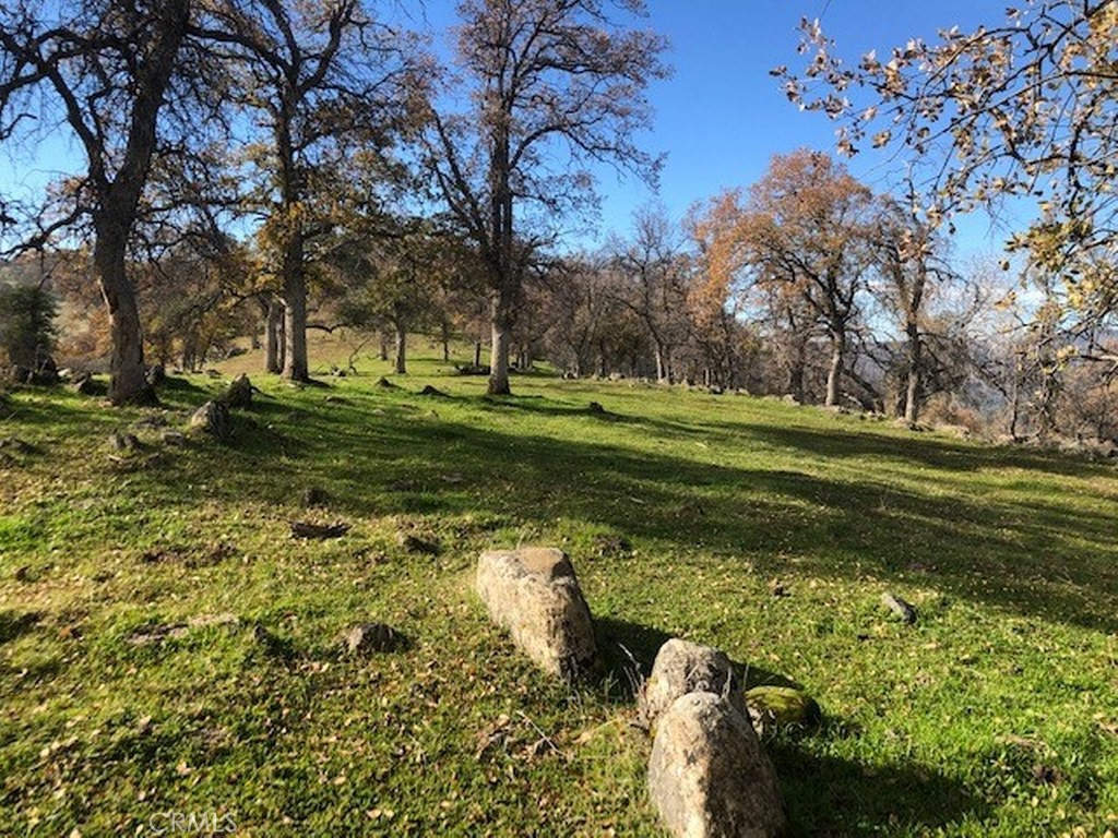 157 Acres Mountain View Peak Rd, O'Neals, CA 93645