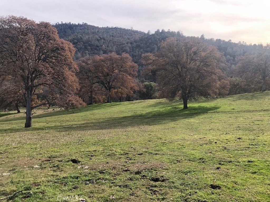 157 Acres Mountain View Peak Rd, O'Neals, CA 93645