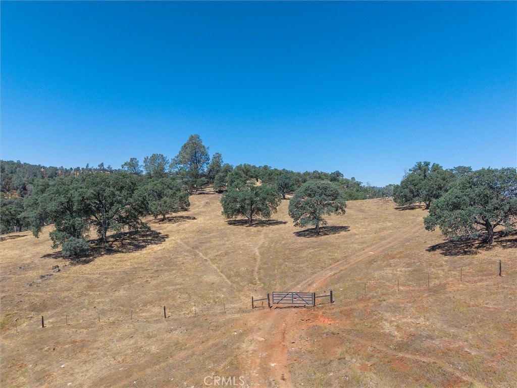157 Acres Mountain View Peak Rd, O'Neals, CA 93645