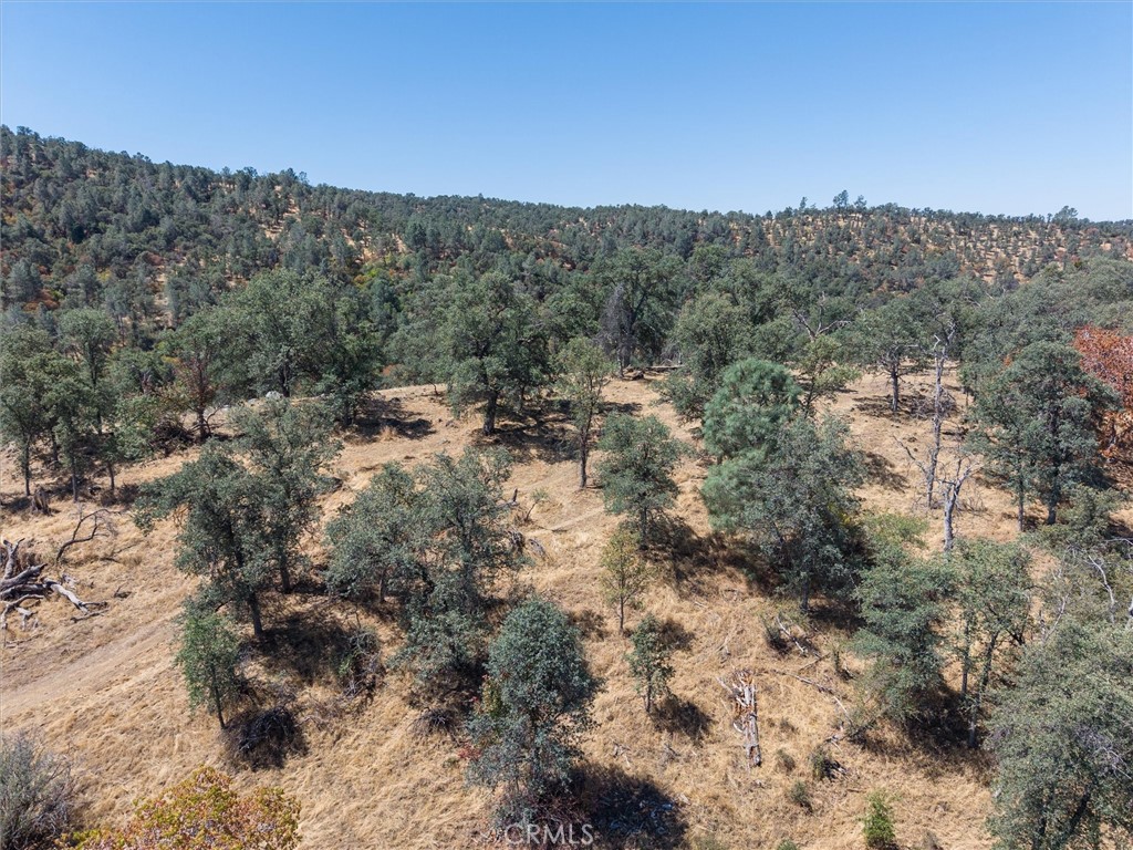 157 Acres Mountain View Peak Rd, O'Neals, CA 93645