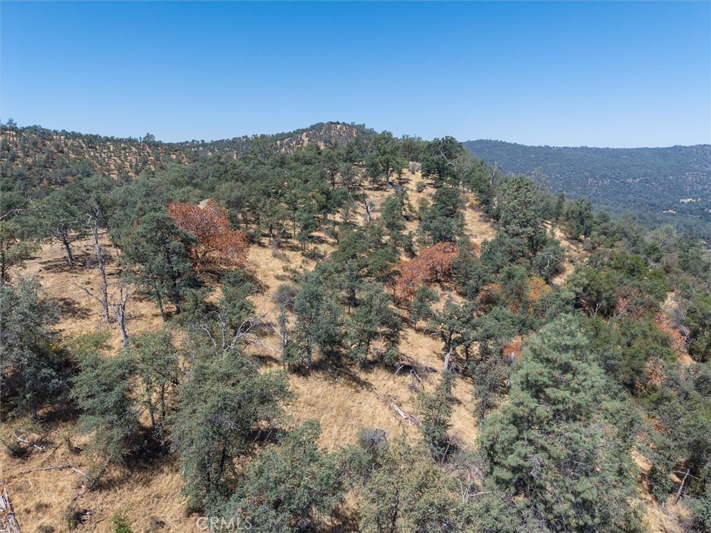 157 Acres Mountain View Peak Rd, O'Neals, CA 93645