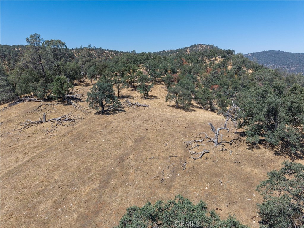 157 Acres Mountain View Peak Rd, O'Neals, CA 93645