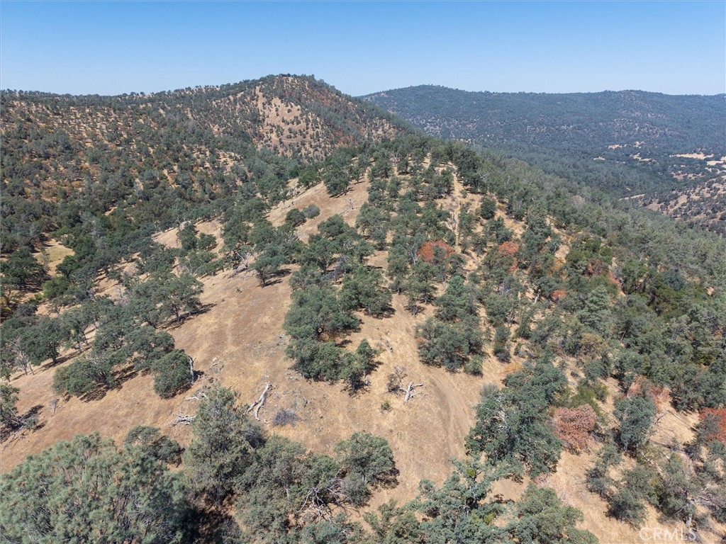 157 Acres Mountain View Peak Rd, O'Neals, CA 93645