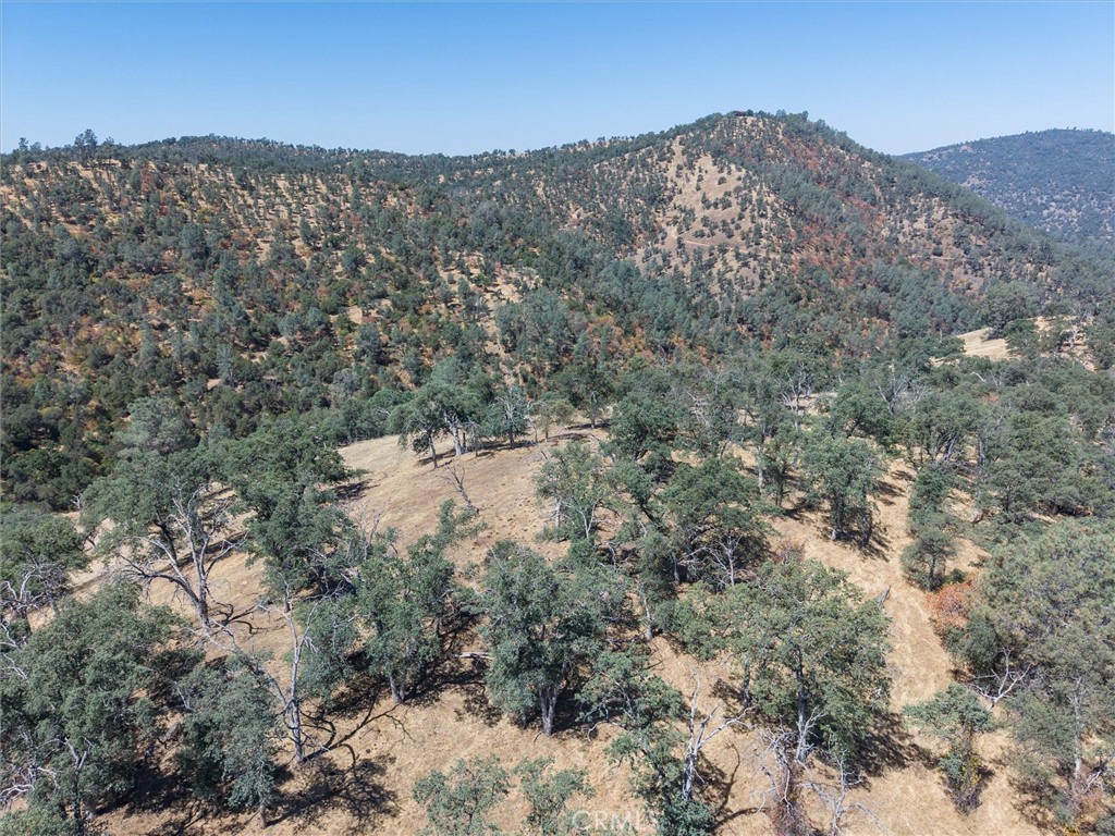 157 Acres Mountain View Peak Rd, O'Neals, CA 93645