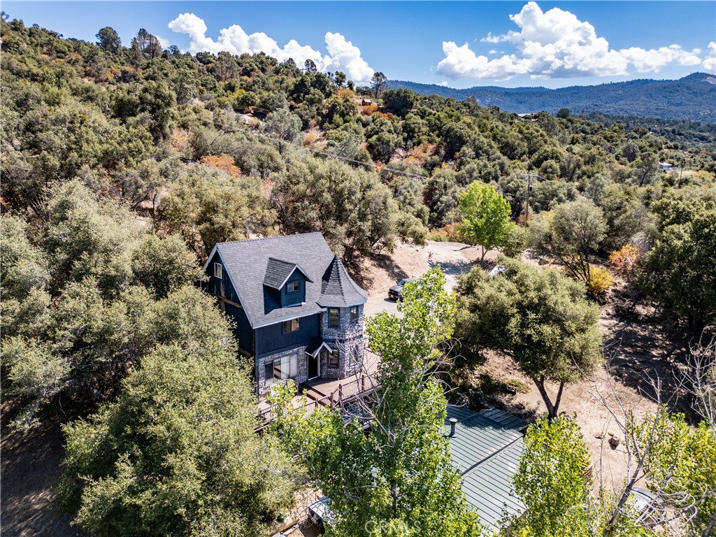 42306 Snowline Ct, Oakhurst, CA 93644