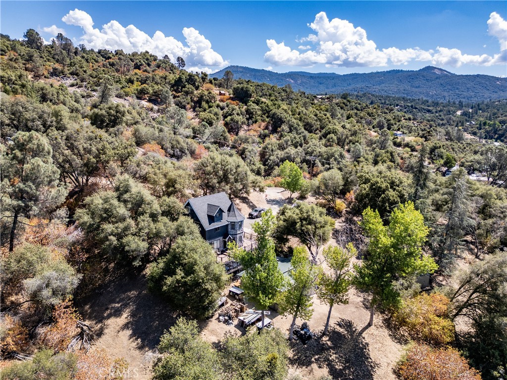 42306 Snowline Ct, Oakhurst, CA 93644