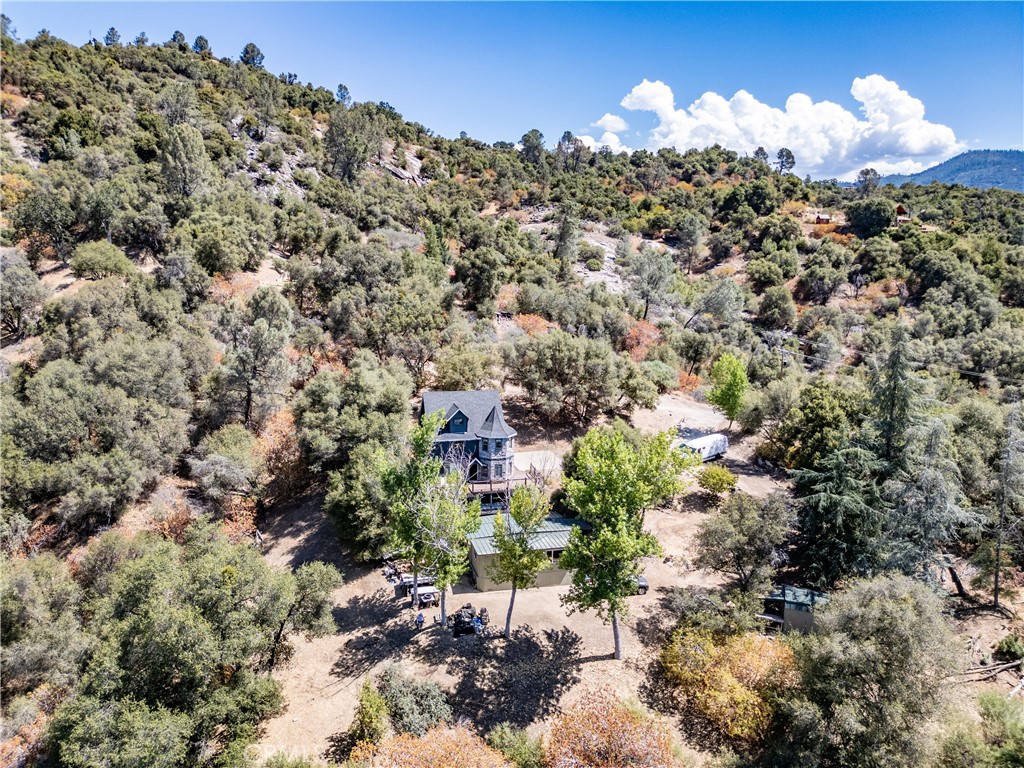 42306 Snowline Ct, Oakhurst, CA 93644