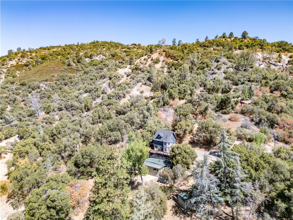 42306 Snowline Ct, Oakhurst, CA 93644