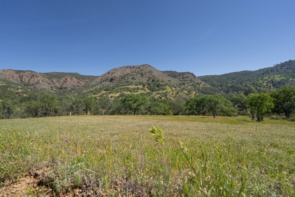 408901 N Fork Rd, Coalinga, CA 93210